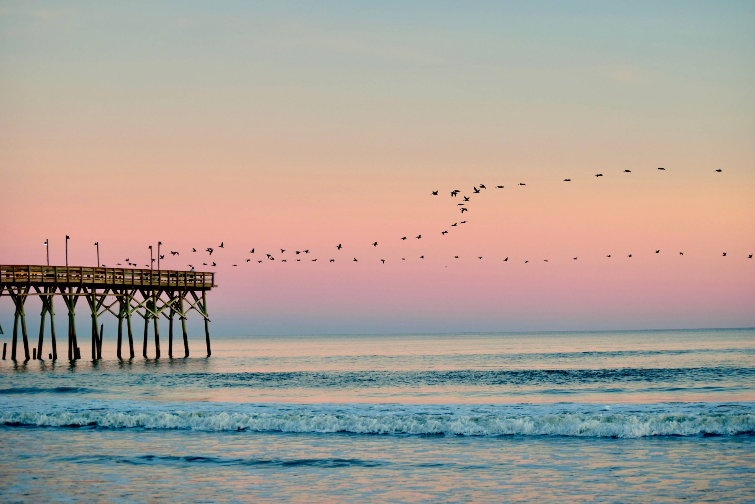 OIB Pier | Suzanne Polino REALTOR